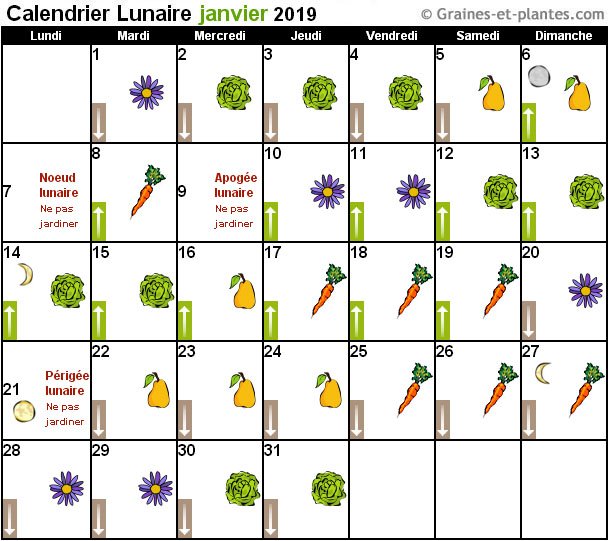 calendrier-lunaire-jardinage-janvier2019-jardiner-avec-la-lune.jpg