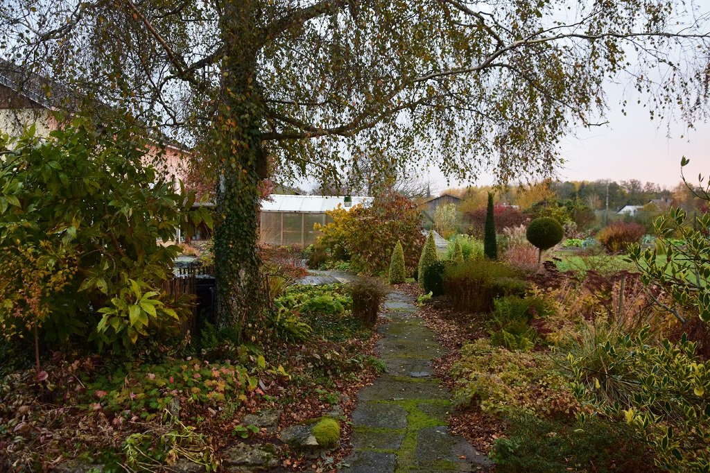 DSC_0046.JPG