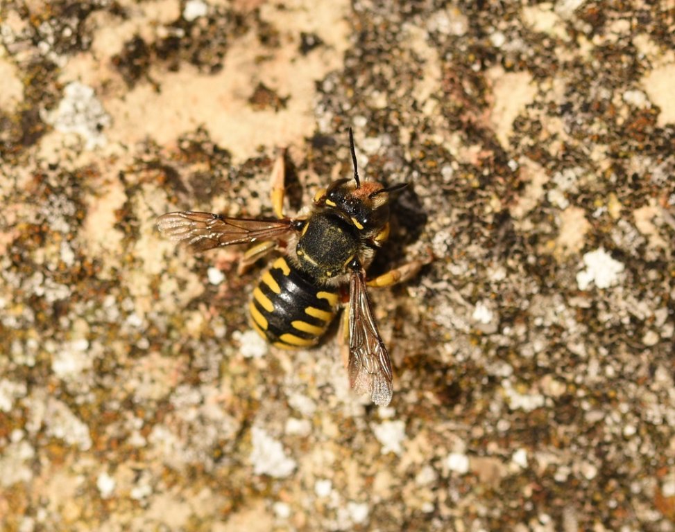 DSC_5351.JPG