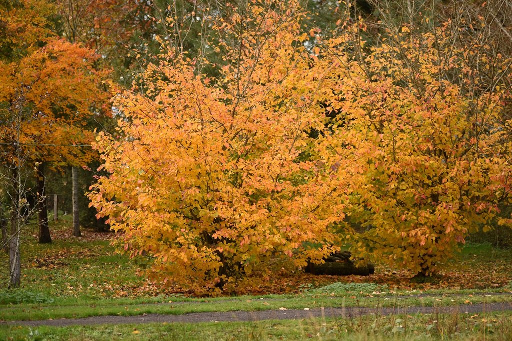 DSC_5658.JPG