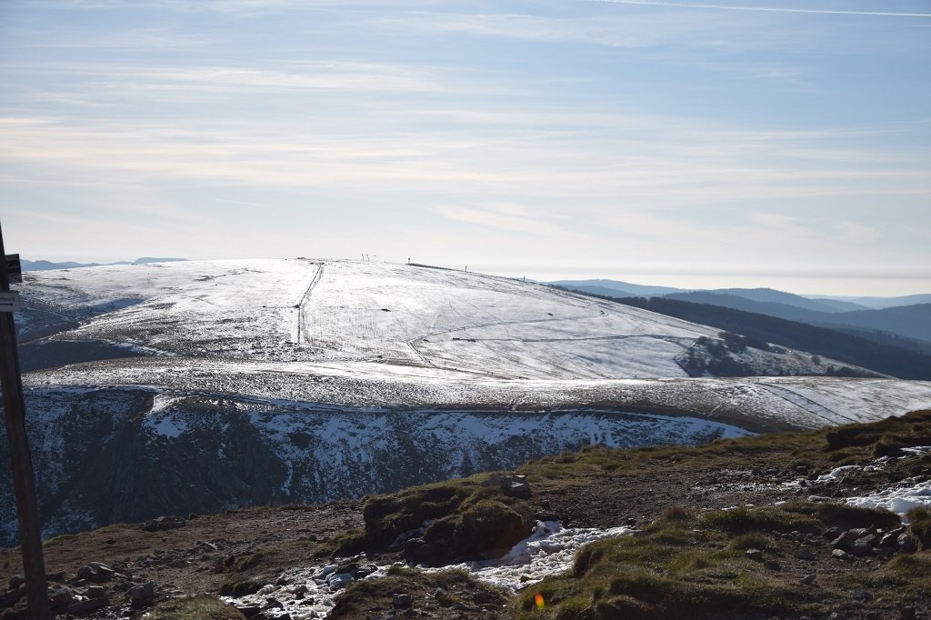 DSC_0145.JPG