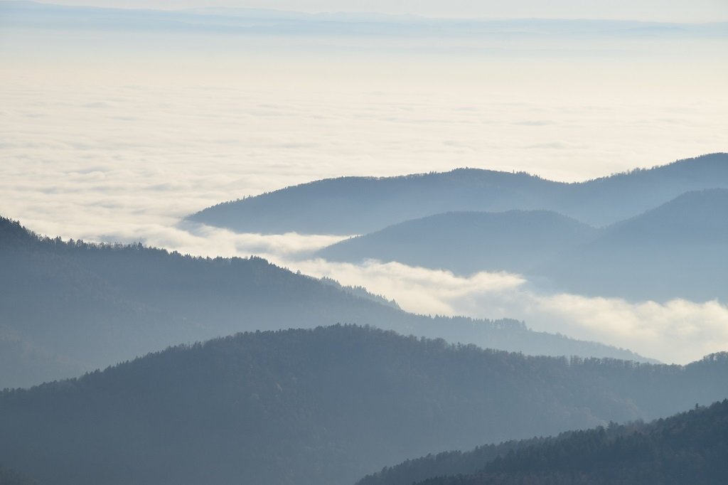DSC_0163.JPG