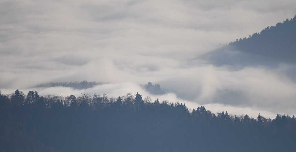DSC_4169.JPG