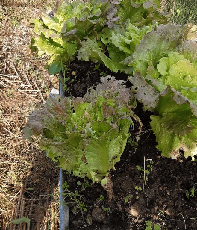 jardin-gabriel-2.jpeg