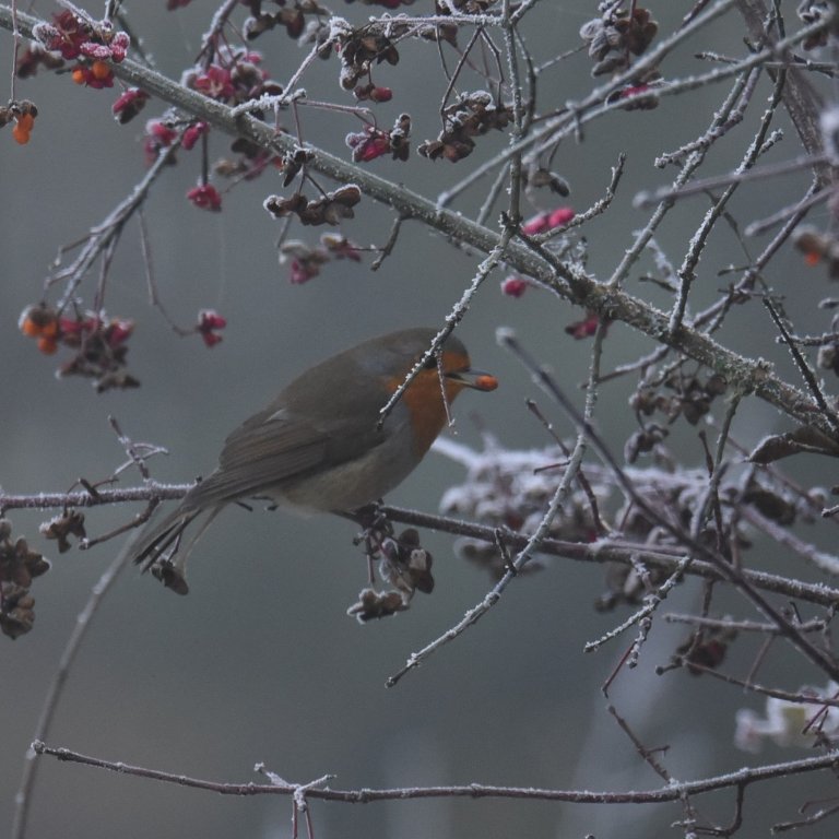 DSC_5708.JPG
