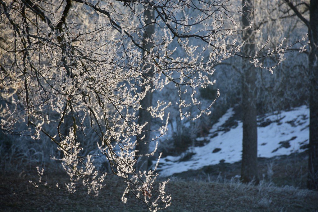 DSC_9595 (Personnalisé).JPG