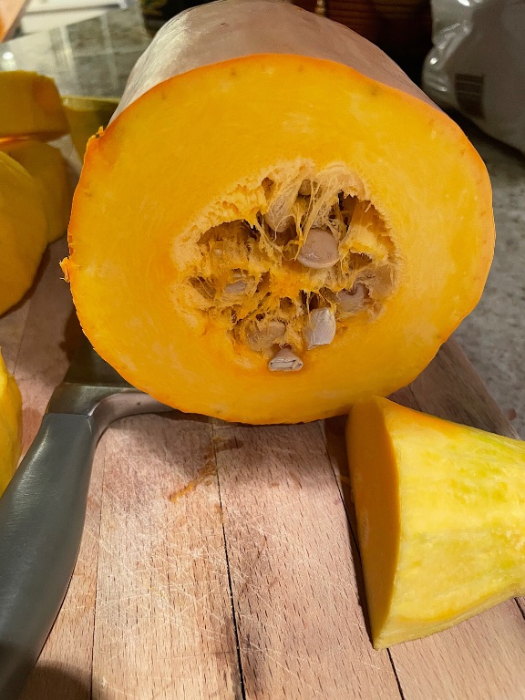 North Georgia Candy Roaster squash