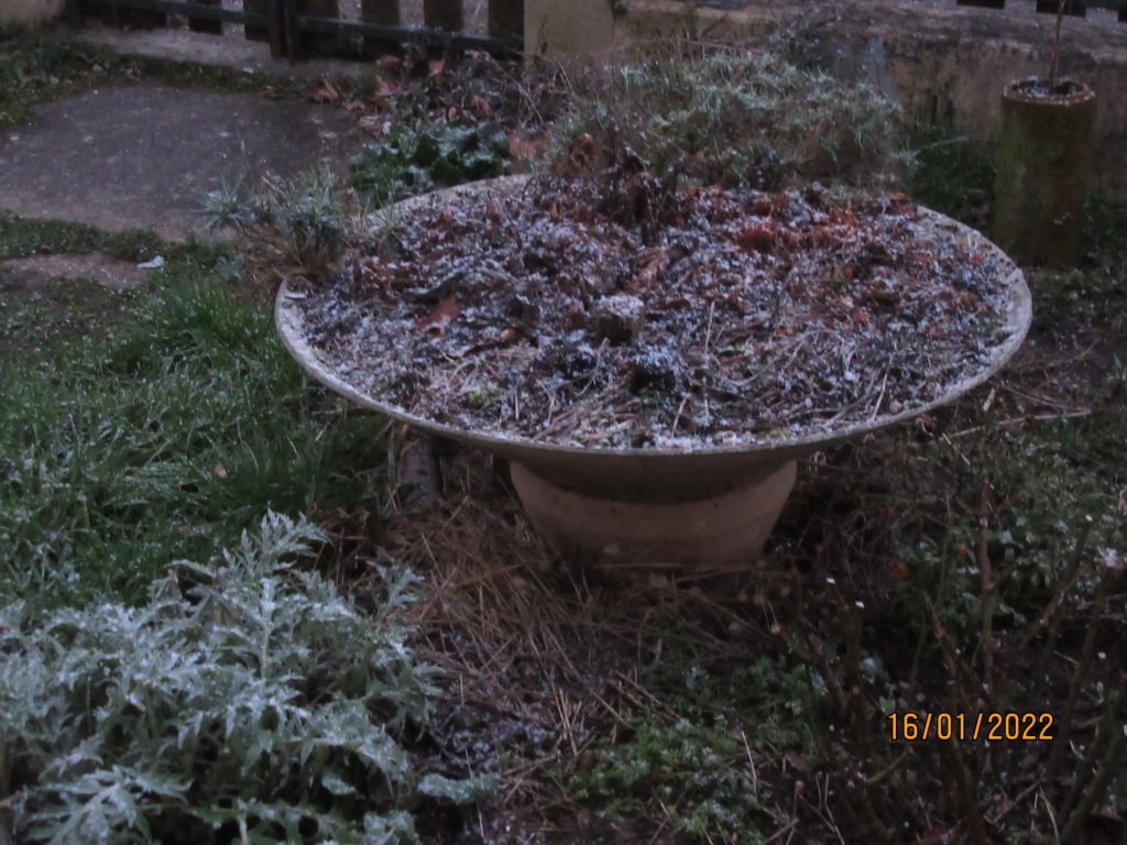 saupoudrage 16jan.jpeg
