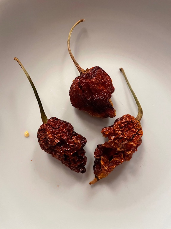 Carolina reaper, très, très sec!