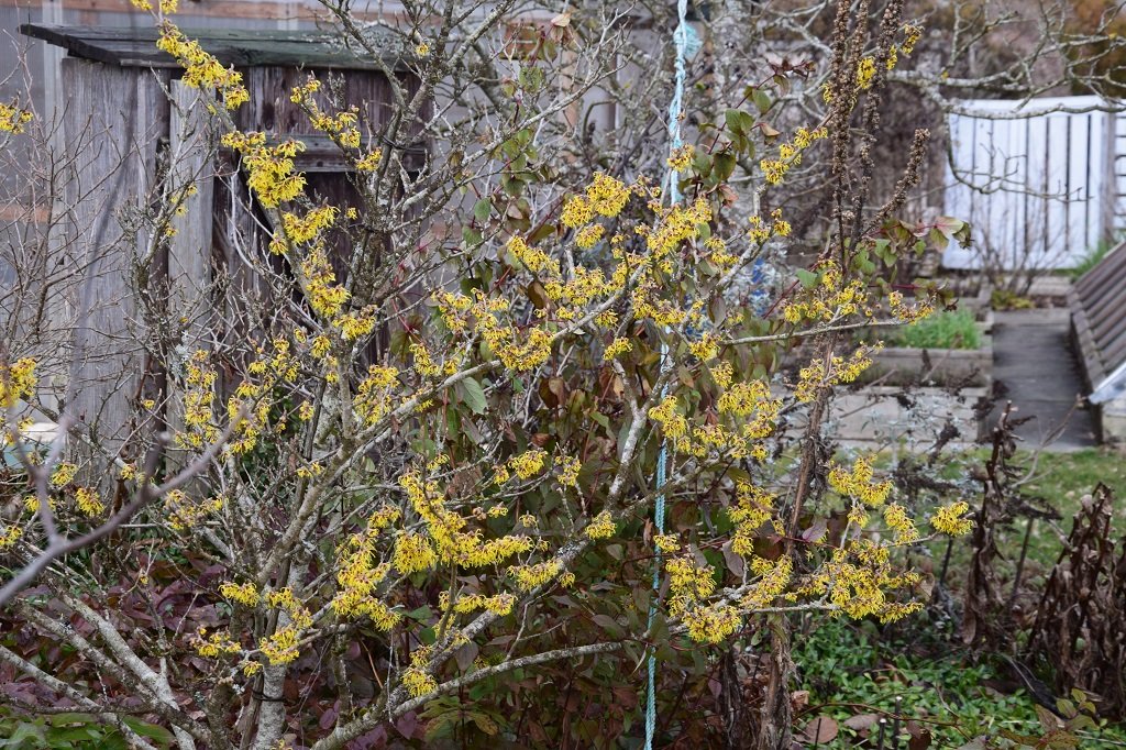 DSC_0142.JPG