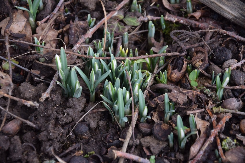 DSC_0150.JPG