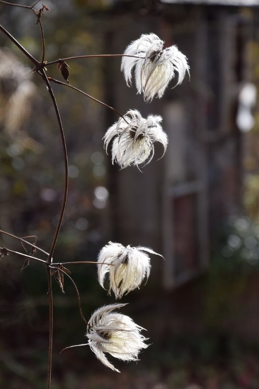 DSC_0192.JPG