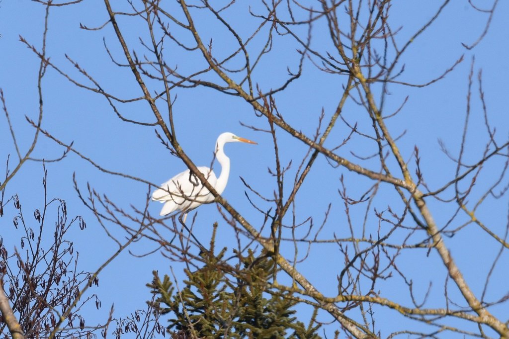 DSC_4249.JPG