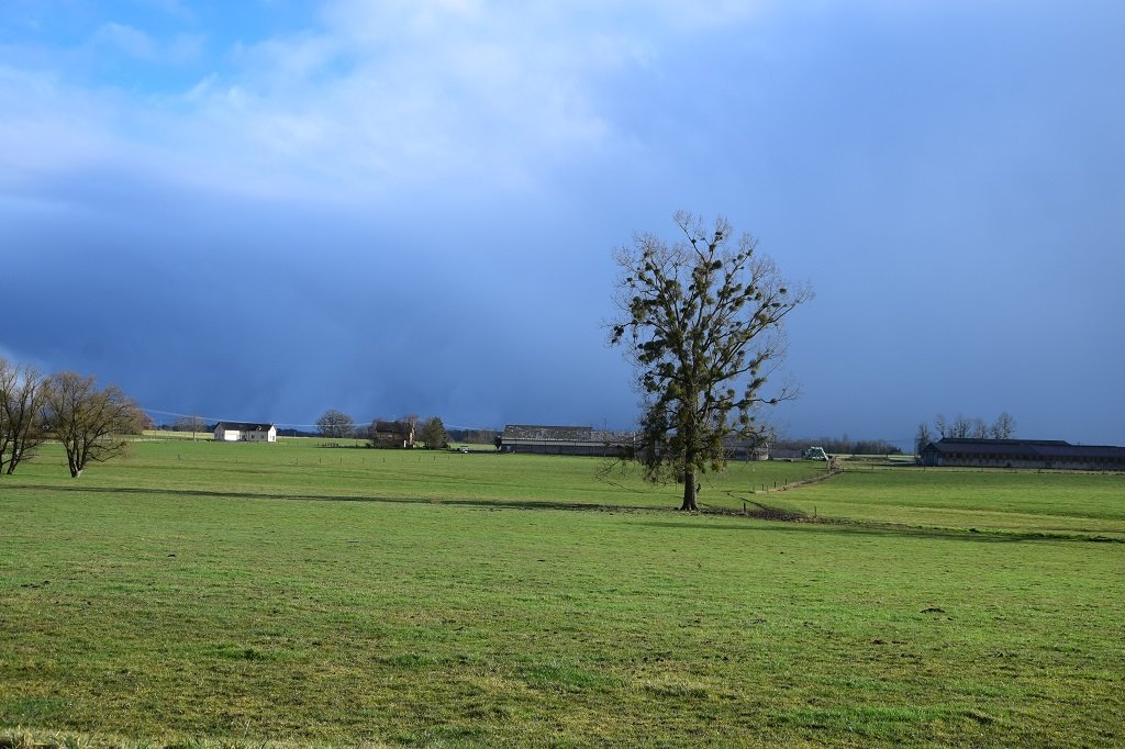 DSC_0224.JPG