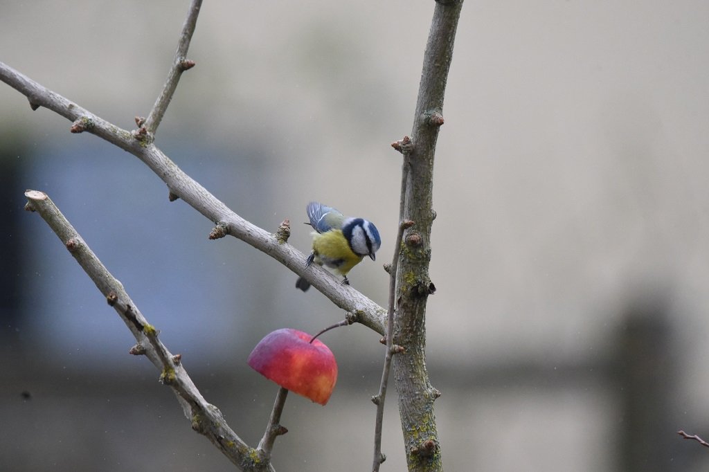 DSC_5973.JPG