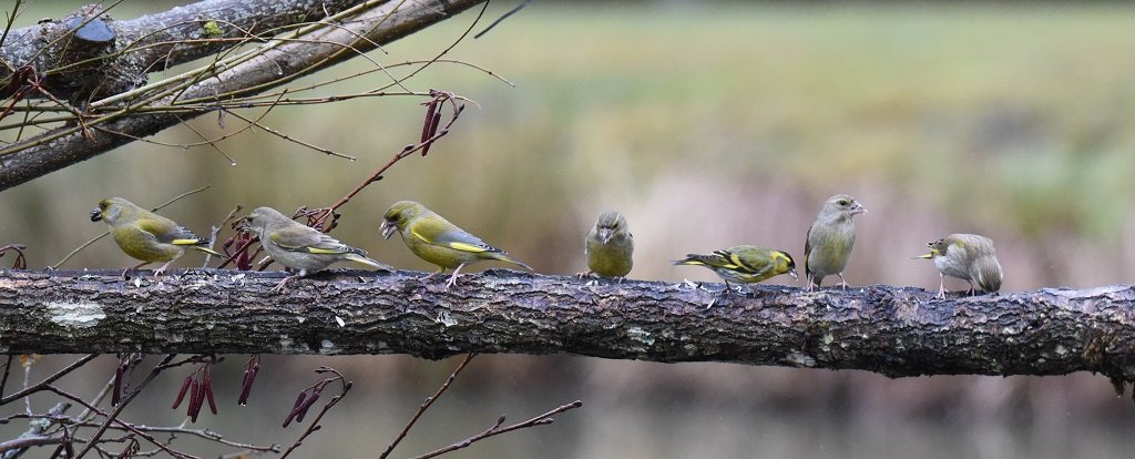 DSC_5534.JPG