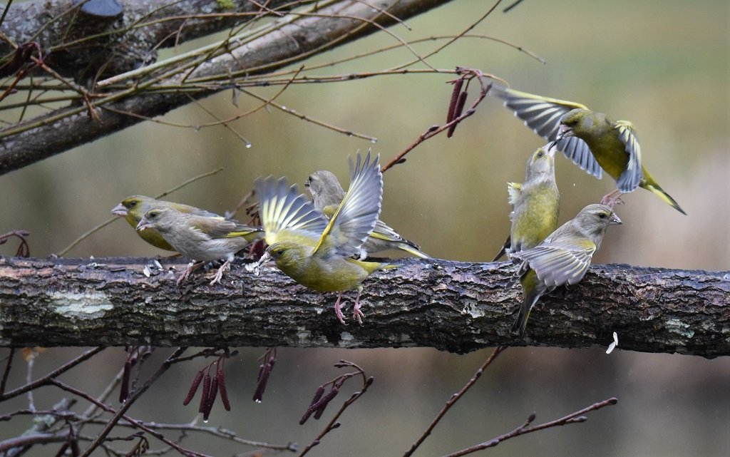 DSC_5540.JPG