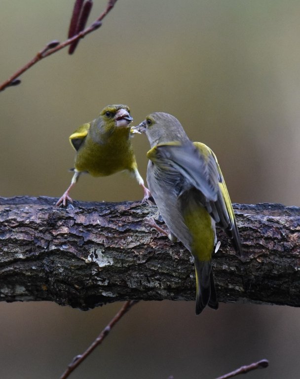 DSC_5632.JPG