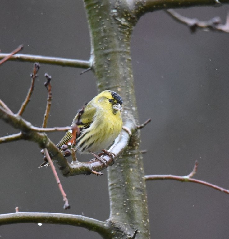 DSC_5761.JPG