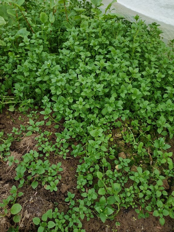 IMG_20220210_164850.jpg