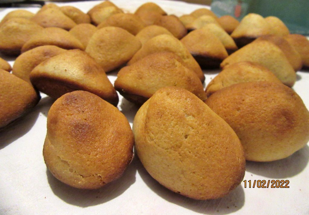 madeleine.jpeg