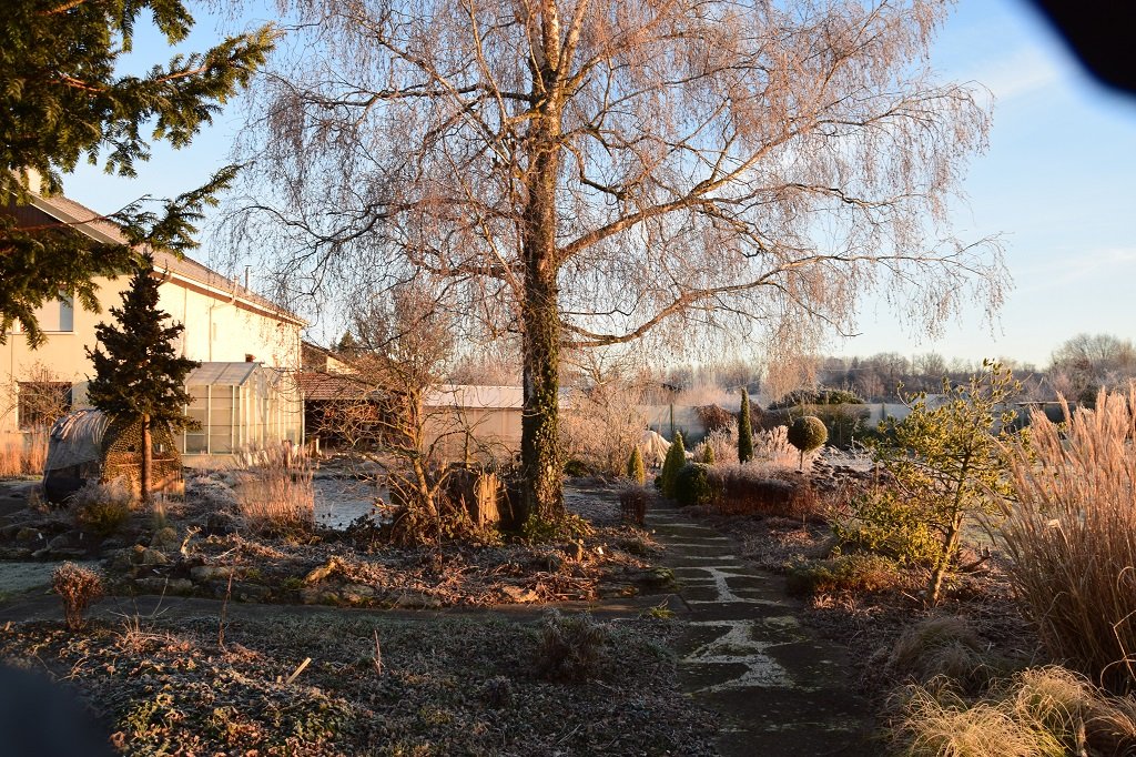 DSC_0270.JPG