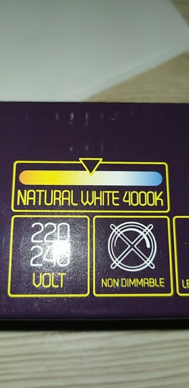 273662710_260921602729172_7387171760487502093_n.jpg
