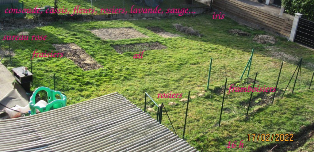 ombre gauche fevrier.jpeg