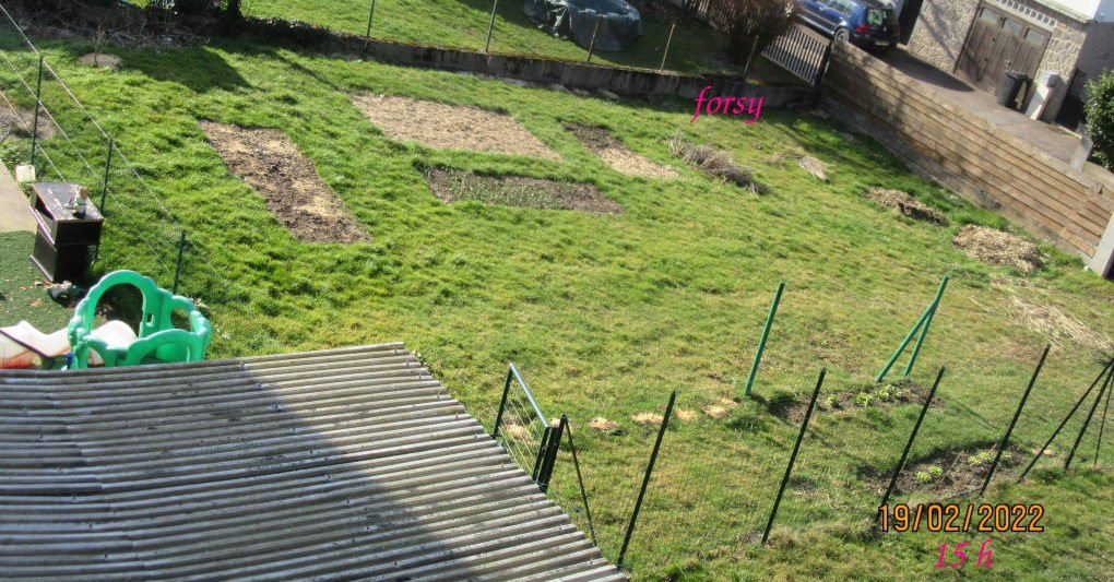 ombregauche15h.jpeg