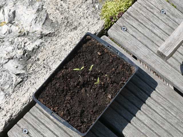 P1100177.JPG