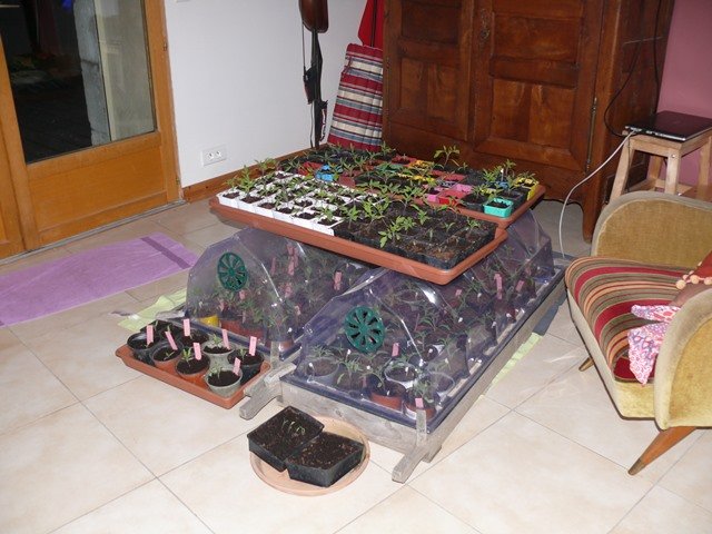 P1100178.JPG