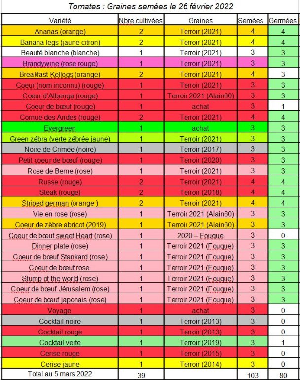 semis tomates.JPG