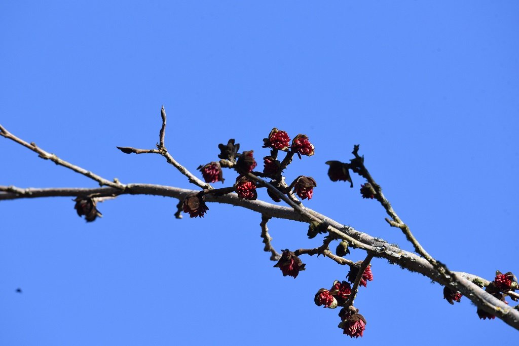 DSC_0288.JPG