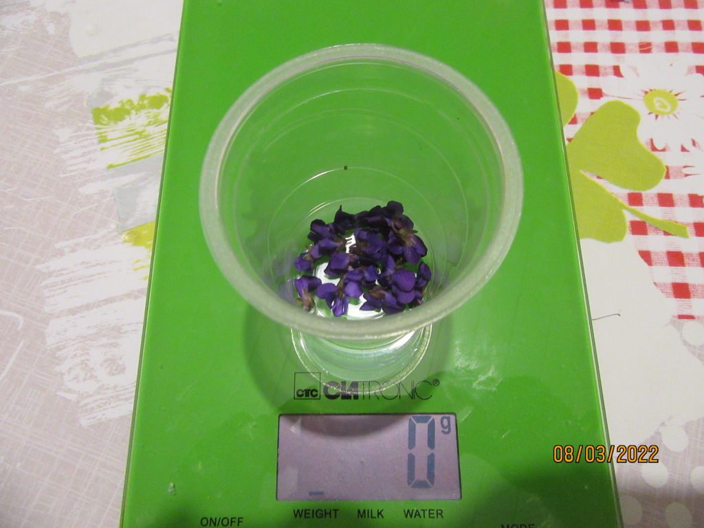 violettes pese.jpeg