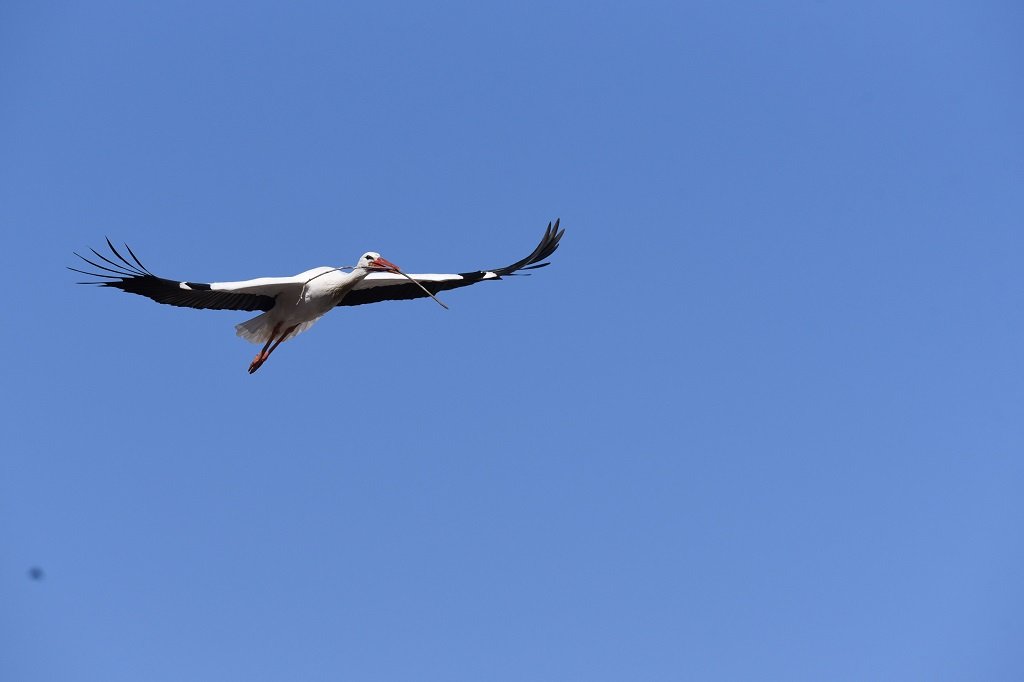DSC_1282.JPG
