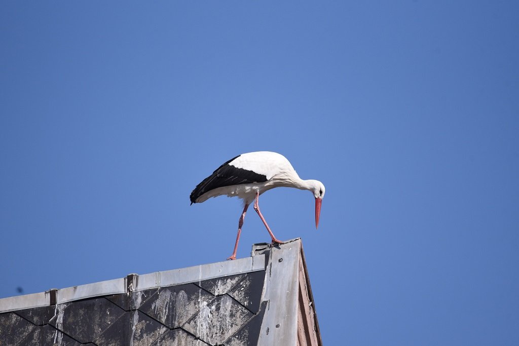 DSC_1328.JPG