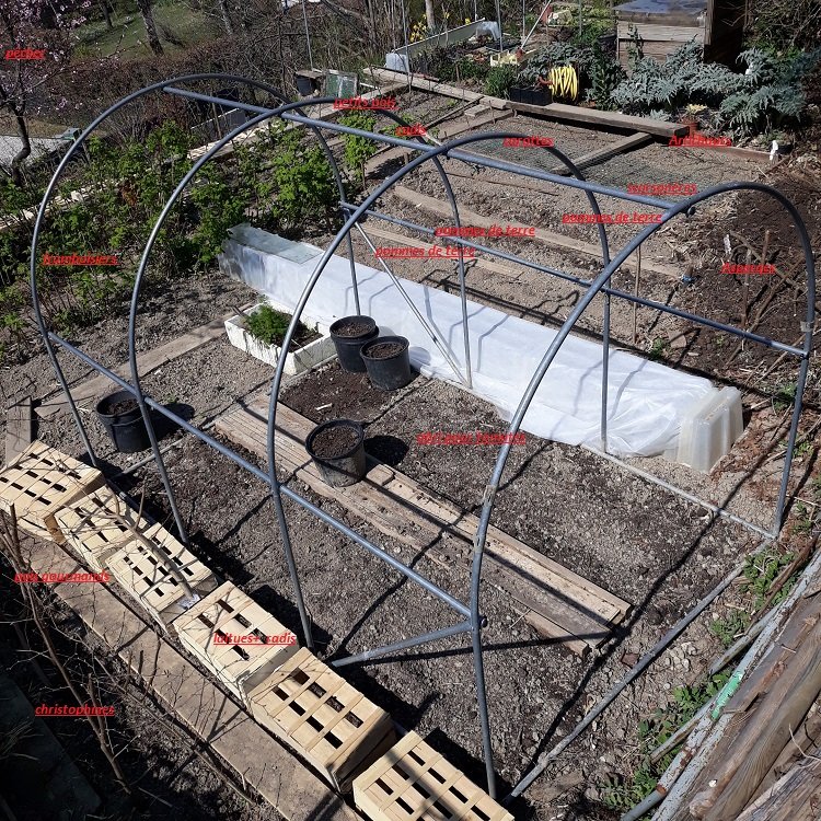potager familial le 26-3-22.jpg