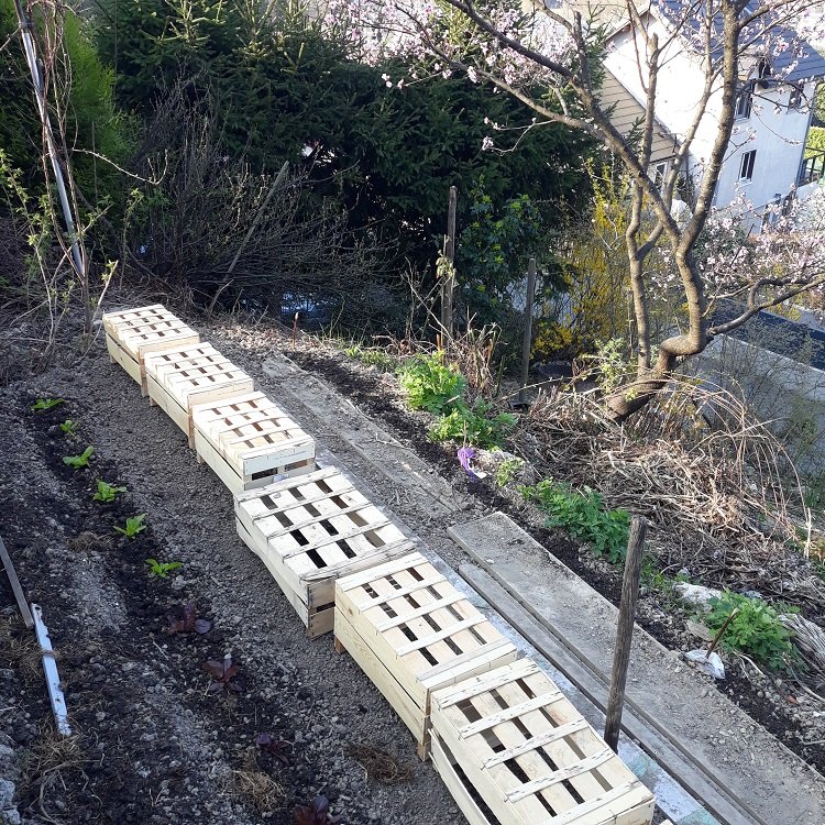 l'extension 26-3-22.jpg