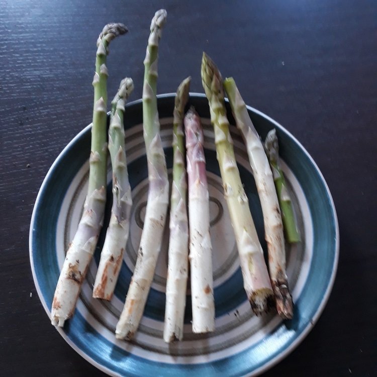 asperges 2022-3-27.jpg