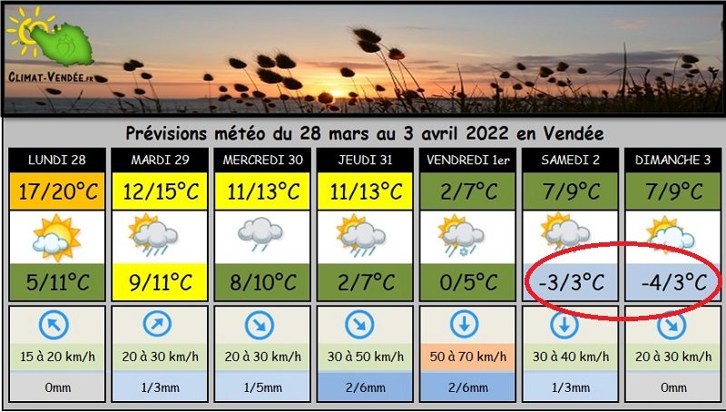 Météo.jpg