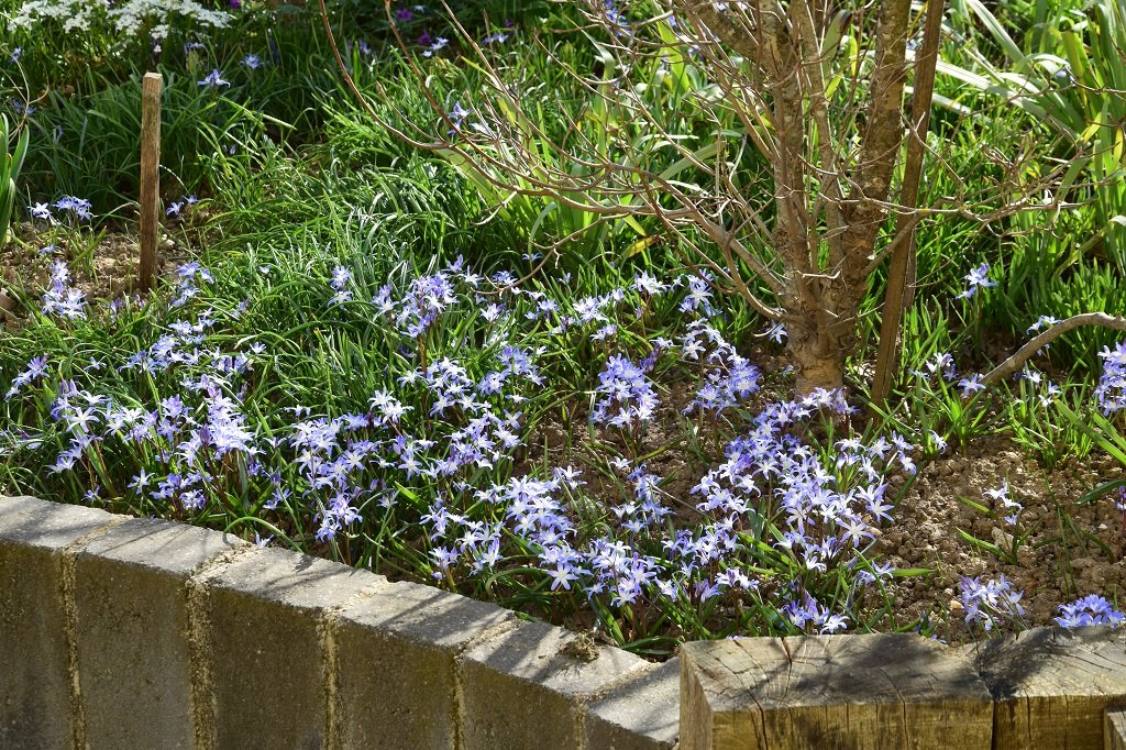 DSC_0086.JPG
