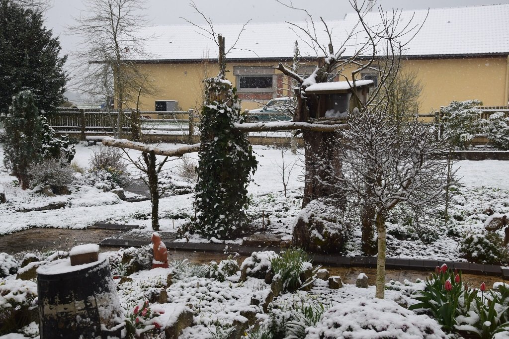 DSC_0009.JPG