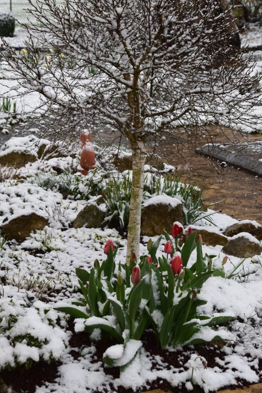 DSC_0012.JPG