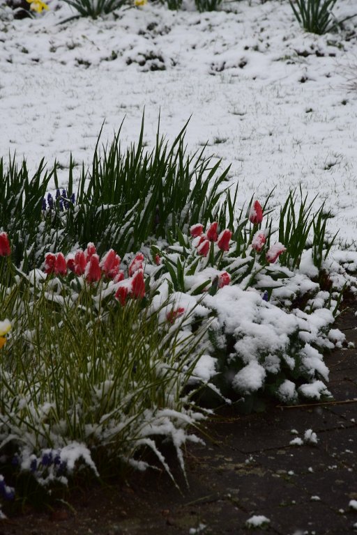 DSC_0013.JPG
