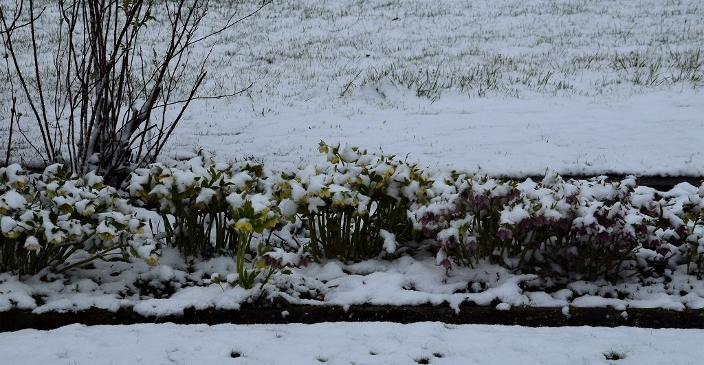 DSC_0033.JPG