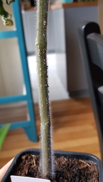 20190403_190010 (Personnalisé).jpg