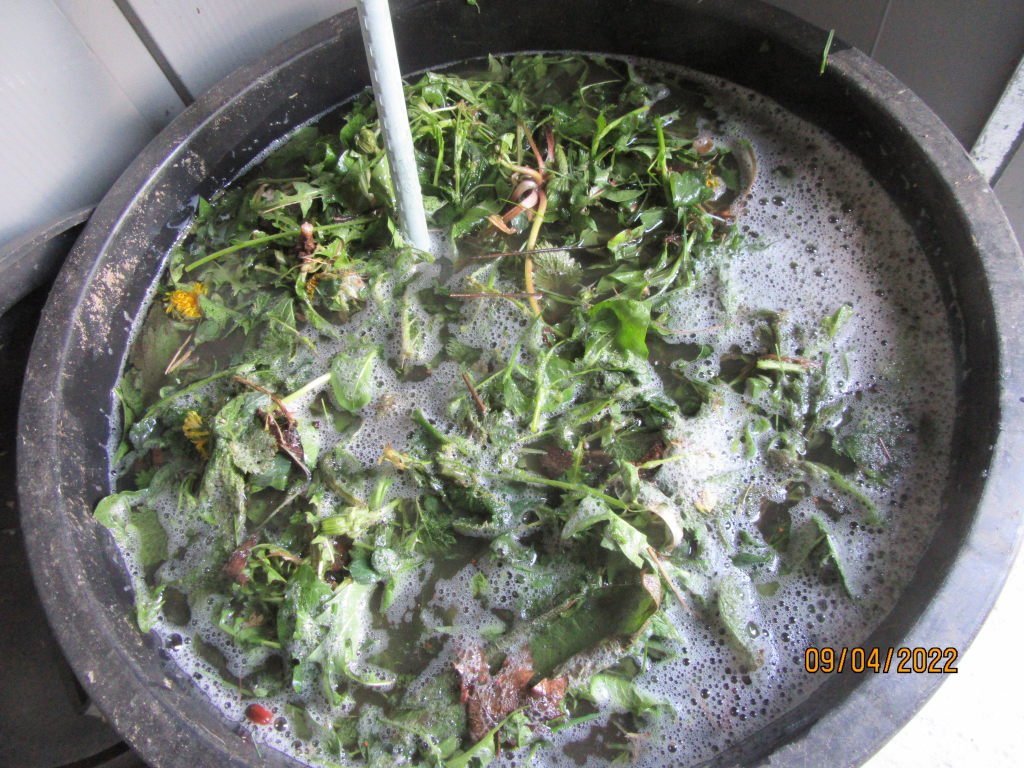 bouillon9avril.jpeg
