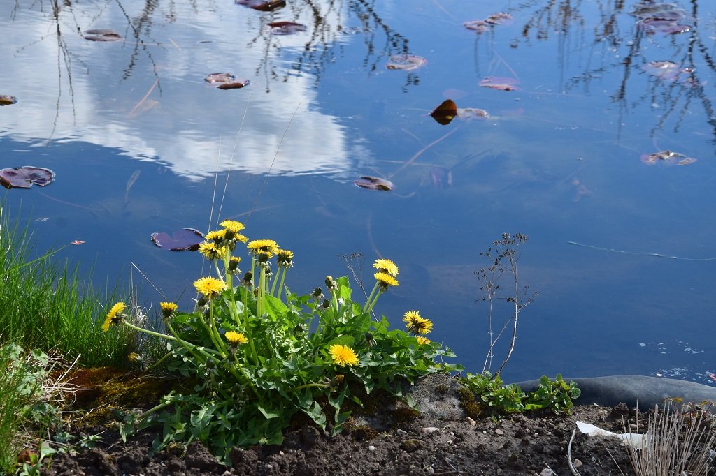 DSC_0164.JPG