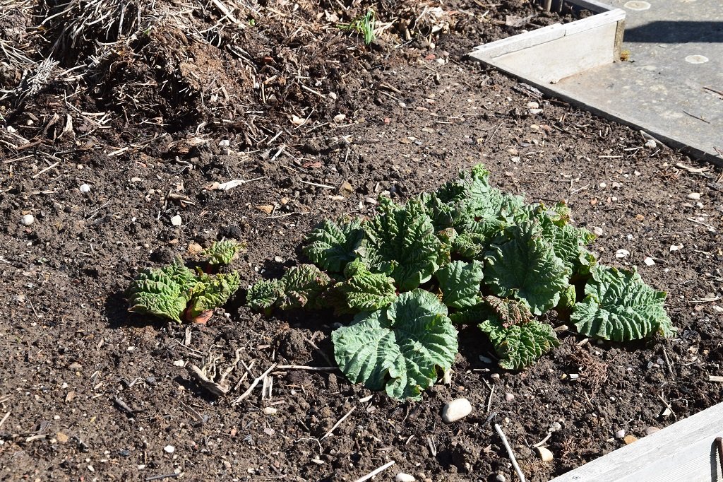 DSC_0173.JPG