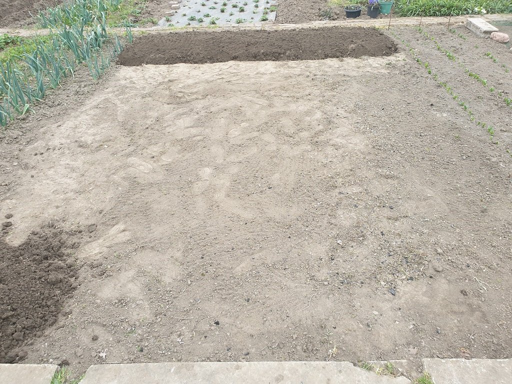 220330 parcelle travaillée_1.jpg